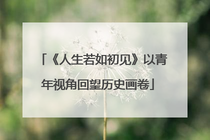 《人生若如初见》以青年视角回望历史画卷