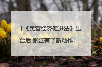 《民营经济促进法》出台后 张江有了新动作