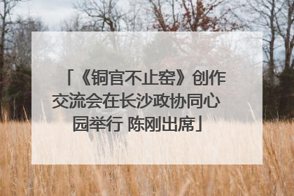 《铜官不止窑》创作交流会在长沙政协同心园举行 陈刚出席