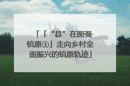 「“县”在图强·镇原③」走向乡村全面振兴的镇原轨迹