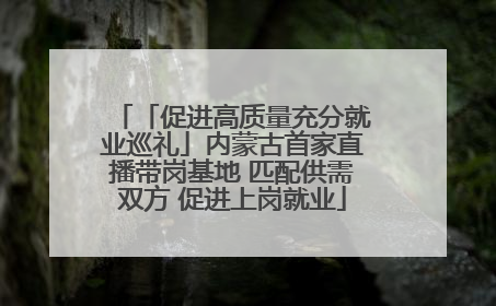「促进高质量充分就业巡礼」内蒙古首家直播带岗基地 匹配供需双方 促进上岗就业