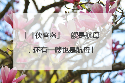 「侠客岛」一艘是航母，还有一艘也是航母