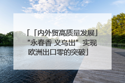 「内外贸高质量发展」“永春香 义乌出”实现欧洲出口零的突破