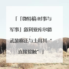 「微特稿·时事与军事」叙利亚库尔德武装称正与土耳其“直接接触”