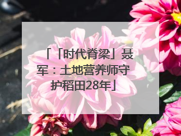 「时代脊梁」聂军：土地营养师守护稻田28年