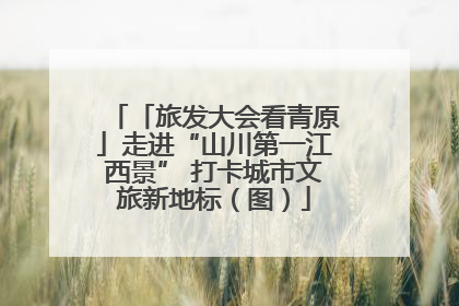 「旅发大会看青原」走进“山川第一江西景” 打卡城市文旅新地标（图）