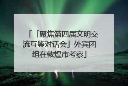 「聚焦第四届文明交流互鉴对话会」外宾团组在敦煌市考察