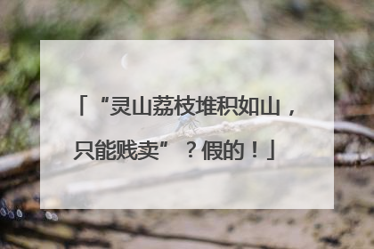 “灵山荔枝堆积如山，只能贱卖”？假的！