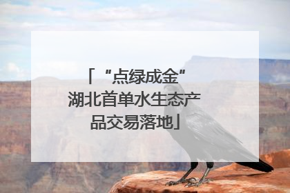 “点绿成金” 湖北首单水生态产品交易落地