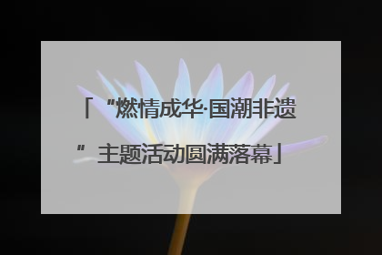 “燃情成华·国潮非遗”主题活动圆满落幕
