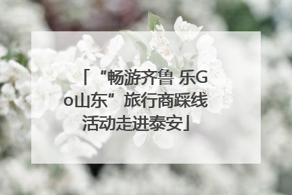 “畅游齐鲁 乐Go山东”旅行商踩线活动走进泰安