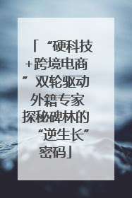 “硬科技+跨境电商”双轮驱动 外籍专家探秘碑林的“逆生长”密码