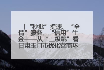 “秒批”提速、“全情”服务、“信用”生金——从“三级跳”看甘肃玉门市优化营商环境的进阶之路