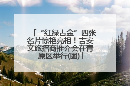 “红绿古金”四张名片惊艳亮相！吉安文旅招商推介会在青原区举行(图)