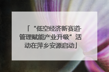 “低空经济新赛道·管理赋能产业升级”活动在萍乡安源启动