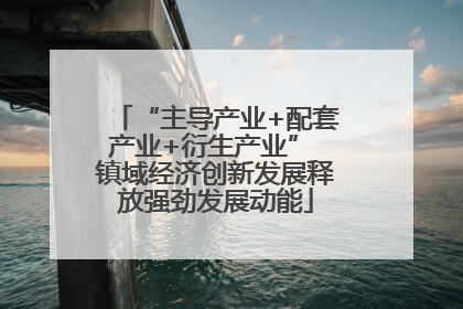 “主导产业+配套产业+衍生产业” 镇域经济创新发展释放强劲发展动能
