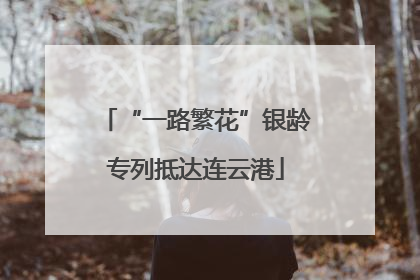 “一路繁花”银龄专列抵达连云港