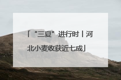 “三夏”进行时丨河北小麦收获近七成