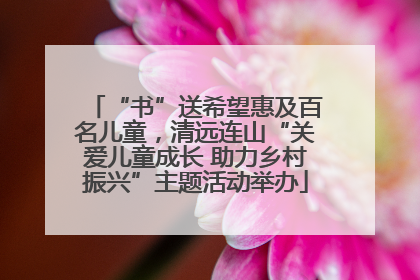 “书”送希望惠及百名儿童，清远连山“关爱儿童成长 助力乡村振兴”主题活动举办