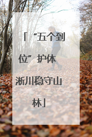 “五个到位”护体 淅川稳守山林