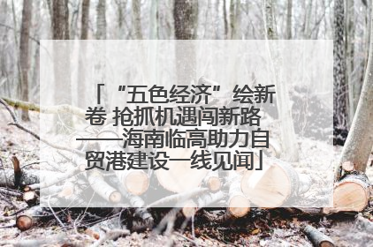 “五色经济”绘新卷 抢抓机遇闯新路——海南临高助力自贸港建设一线见闻