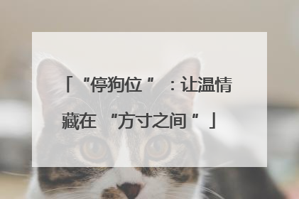 “停狗位 ”：让温情藏在 “方寸之间 ”