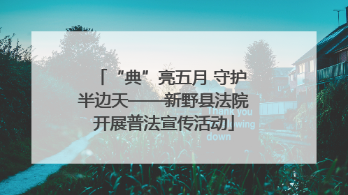 “典”亮五月 守护半边天——新野县法院开展普法宣传活动