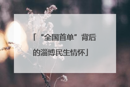 “全国首单”背后的淄博民生情怀