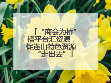 “商会为桥”搭平台汇资源，促连山特色资源“走出去”