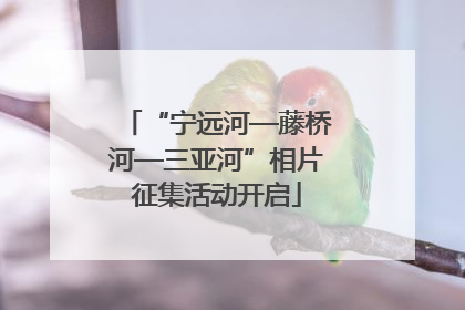 “宁远河—藤桥河—三亚河”相片征集活动开启