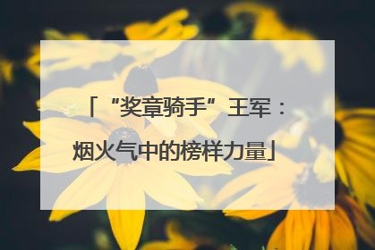 “奖章骑手”王军：烟火气中的榜样力量