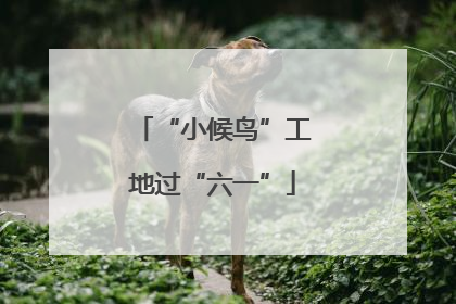 “小候鸟”工地过“六一”
