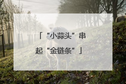“小蒜头”串起“金链条”