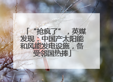“抢疯了”，英媒发现：中国产太阳能和风能发电设施，备受邻国热捧
