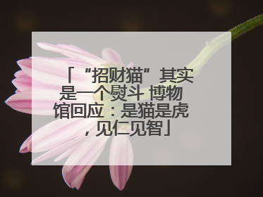 “招财猫”其实是一个熨斗 博物馆回应：是猫是虎，见仁见智