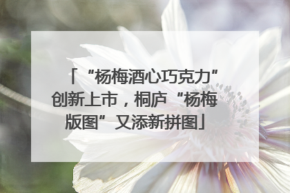 “杨梅酒心巧克力”创新上市，桐庐“杨梅版图”又添新拼图
