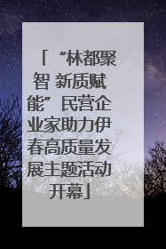 “林都聚智 新质赋能”民营企业家助力伊春高质量发展主题活动开幕