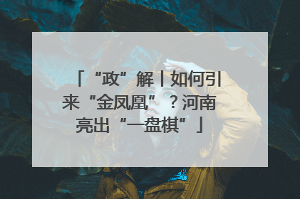 “政”解丨如何引来“金凤凰”？河南亮出“一盘棋”