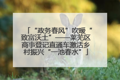 “政务春风”吹暖“致富沃土”——莱芜区商事登记直通车激活乡村振兴“一池春水”