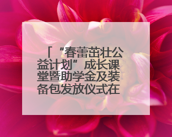 “春蕾茁壮公益计划”成长课堂暨助学金及装备包发放仪式在广西举行