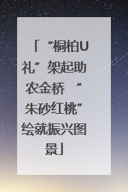 “桐柏U礼”架起助农金桥 “朱砂红桃”绘就振兴图景