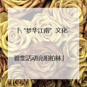 “梦华江南”文化雅集活动亮相柏林