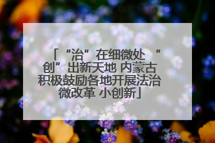 “治”在细微处 “创”出新天地 内蒙古积极鼓励各地开展法治微改革 小创新