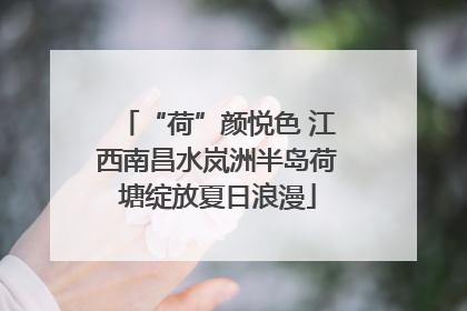 “荷”颜悦色 江西南昌水岚洲半岛荷塘绽放夏日浪漫