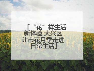 “花”样生活新体验 大兴区让市花月季走进日常生活