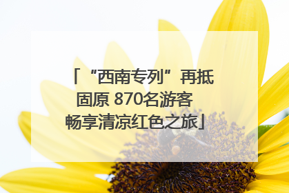 “西南专列”再抵固原 870名游客畅享清凉红色之旅