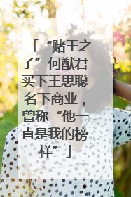 “赌王之子”何猷君买下王思聪名下商业，曾称“他一直是我的榜样”