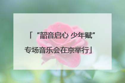 “韶音启心 少年赋”专场音乐会在京举行
