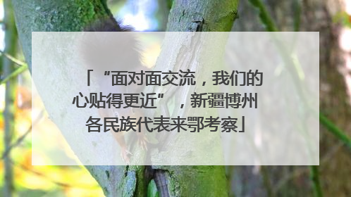 “面对面交流，我们的心贴得更近”，新疆博州各民族代表来鄂考察