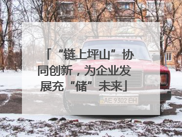“链上坪山”协同创新，为企业发展充“储”未来